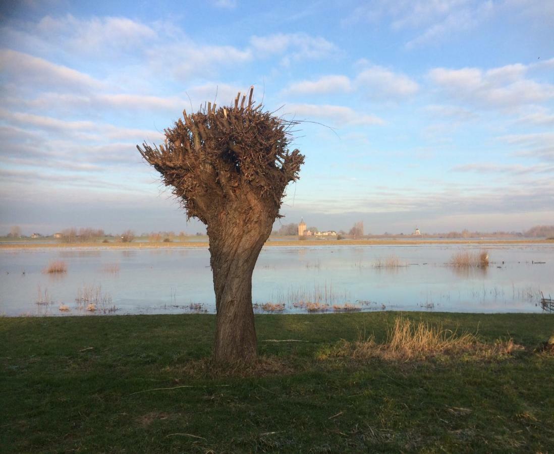 Unique Place On The River Waal Heerewaarden المظهر الخارجي الصورة